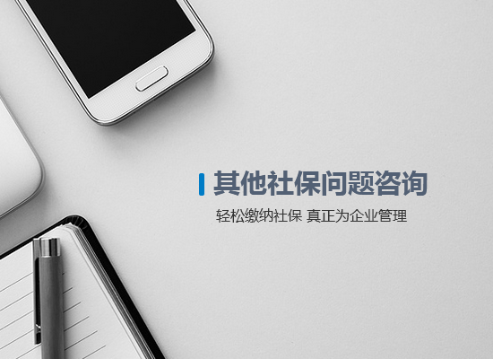 其他社保問(wèn)題咨詢(xún)